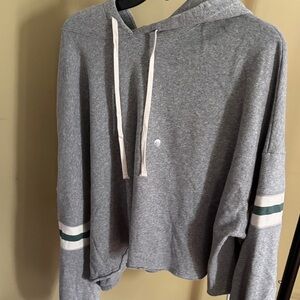 American Eagle Outfitters Gray Cropped Hoodie